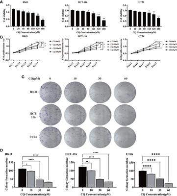 PD-1-siRNA Delivered by Attenuated Salmonella Enhances the Antitumor Effect of Chloroquine in Colon Cancer